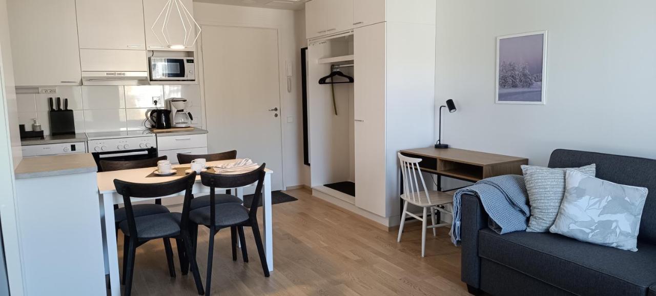 Kodikas Huoneisto, Oma Sauna, Ilmainen Pysaekoeinti Rovaniemi