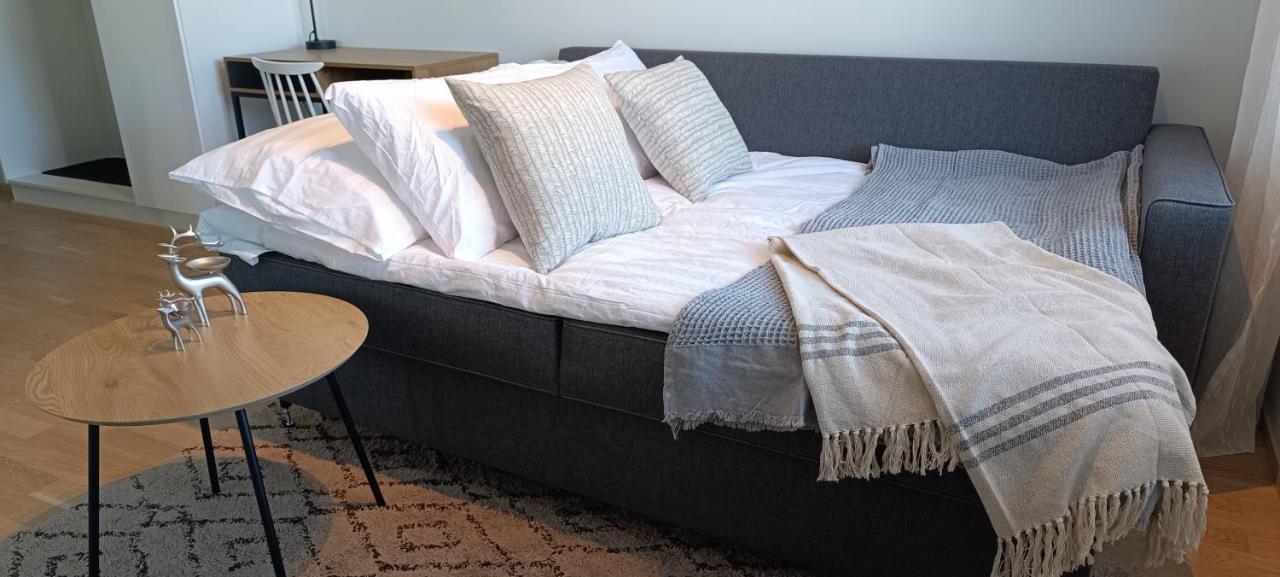 Apartment Kodikas Huoneisto, Oma Sauna, Ilmainen Pysaekoeinti Rovaniemi