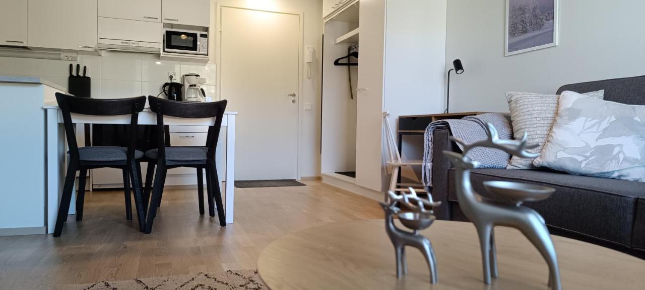 Kodikas Huoneisto, Oma Sauna, Ilmainen Pysaekoeinti * Rovaniemi