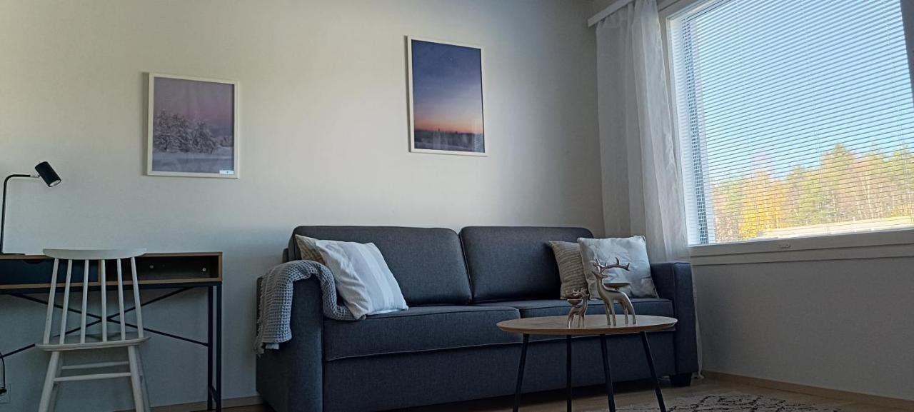 Kodikas Huoneisto, Oma Sauna, Ilmainen Pysaekoeinti *