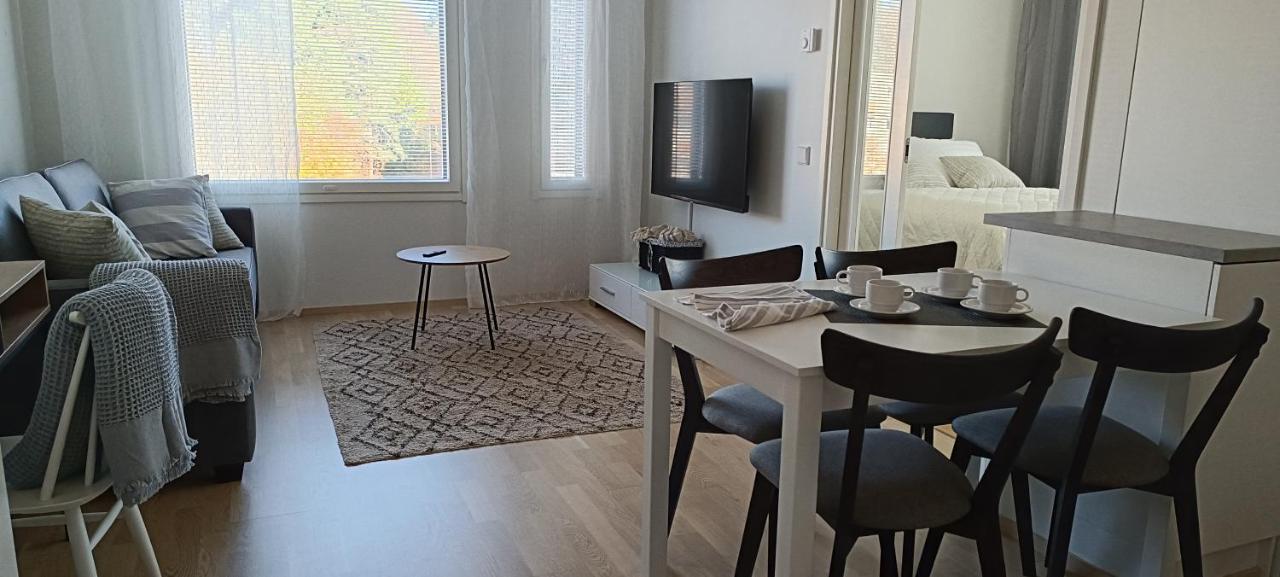 Kodikas Huoneisto, Oma Sauna, Ilmainen Pysaekoeinti Apartamento *